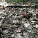 Image for article titled The Mysterious Pile Of 1950s Transmissions Buried At The Site Of An Old GM Plant